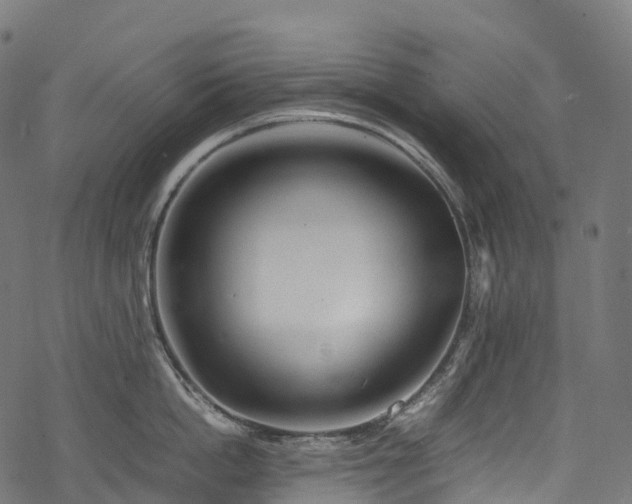 X0000078000862200611031444