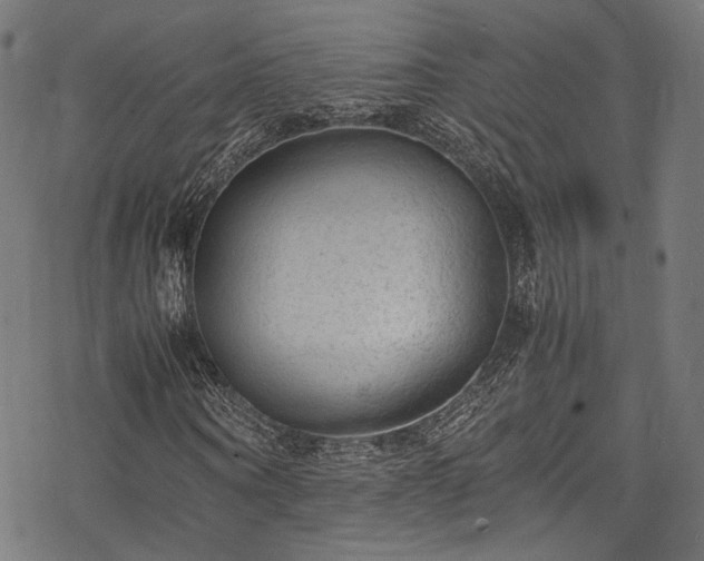 X0000078000866200611031443