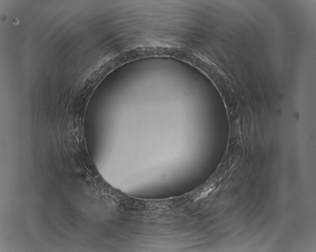 X0000078000870200611031443