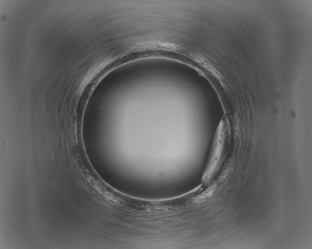 X0000078000877200611031443