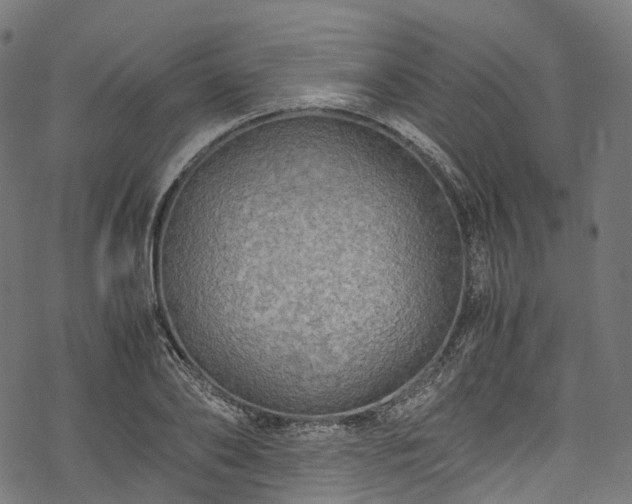 X0000078000886200611031442