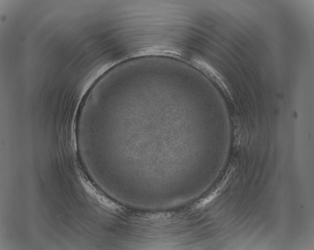 X0000078000892200611031442