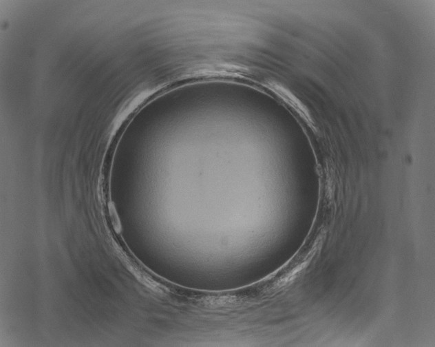 X0000078000893200611031442