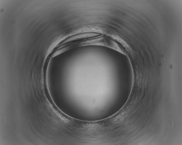X0000078000894200611031442