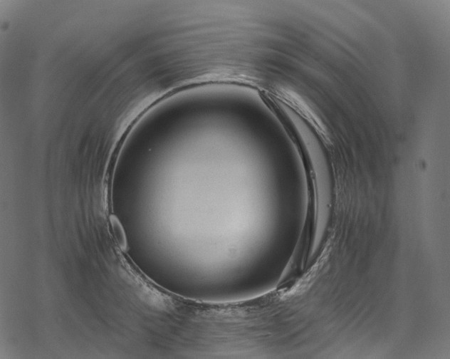 X0000078000900200611031442