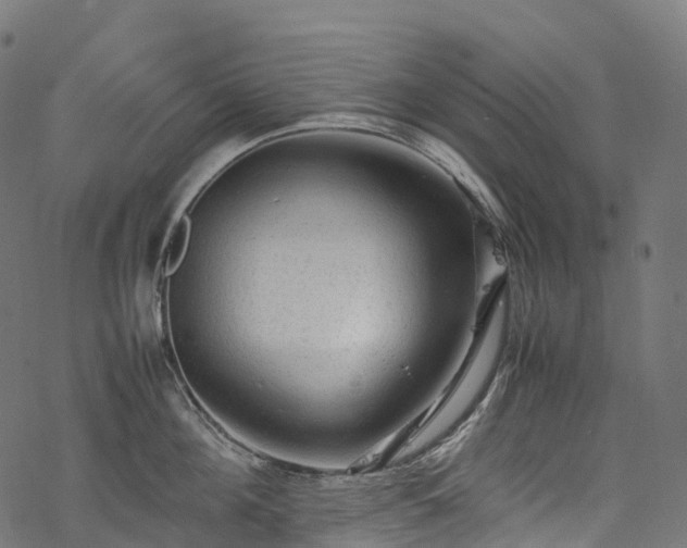 X0000078000908200611031442