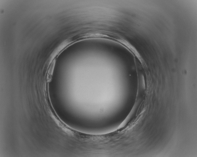 X0000078000909200611031442