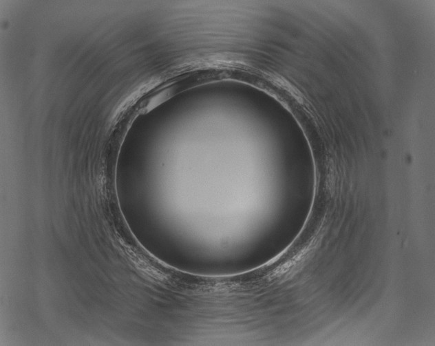 X0000078000922200611031441