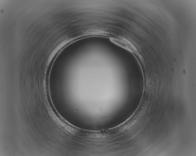 X0000078000947200611031442