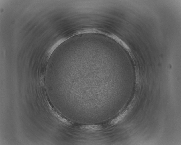 X0000078000953200611031442