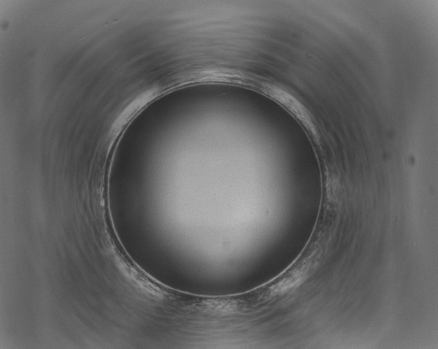 X0000078000954200611031442
