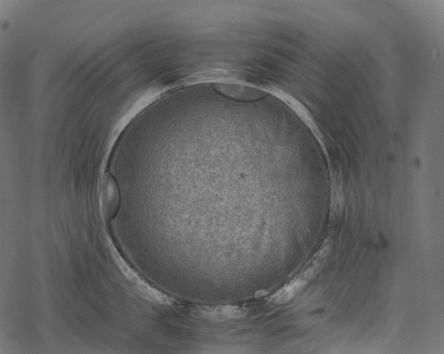 X0000078000957200611031442