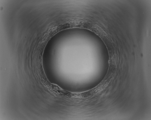 X0000078000961200611031441
