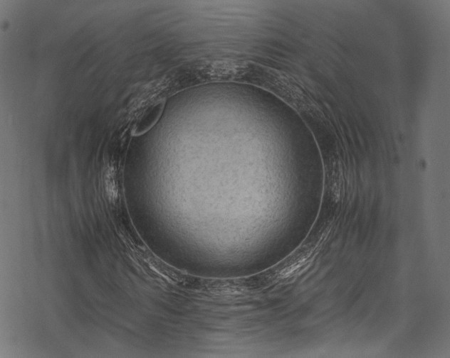 X0000078000962200611031441