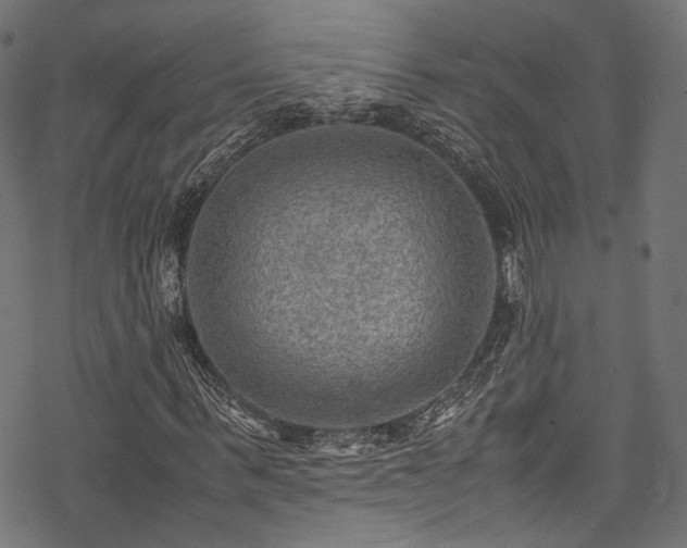 X0000078000963200611031441