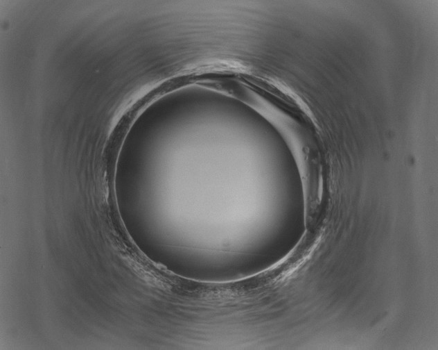 X0000078000973200611031441