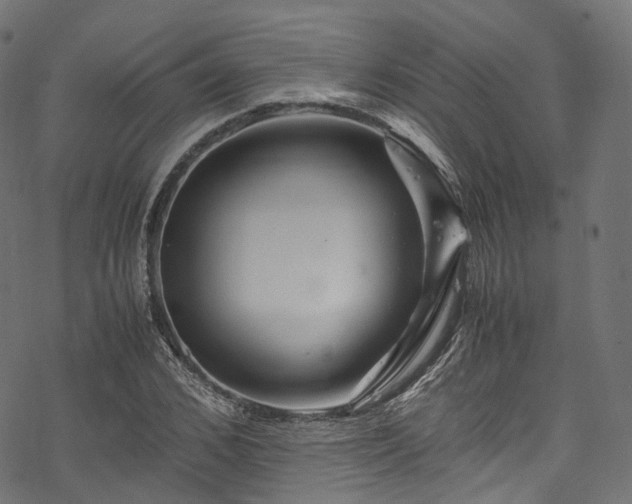 X0000078000976200611031441