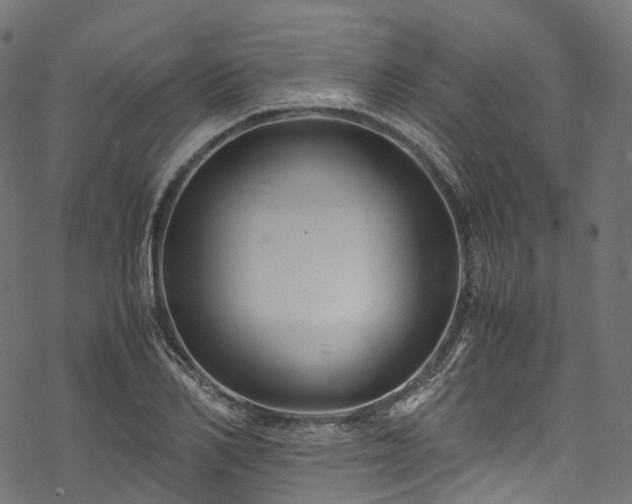 X0000078000982200611031441