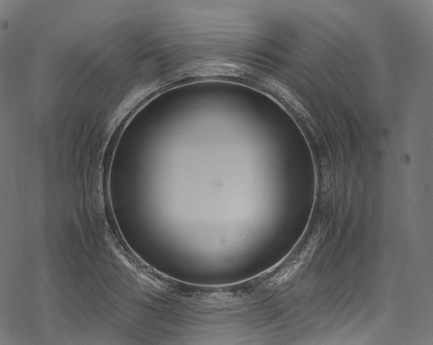 X0000078000986200611031441