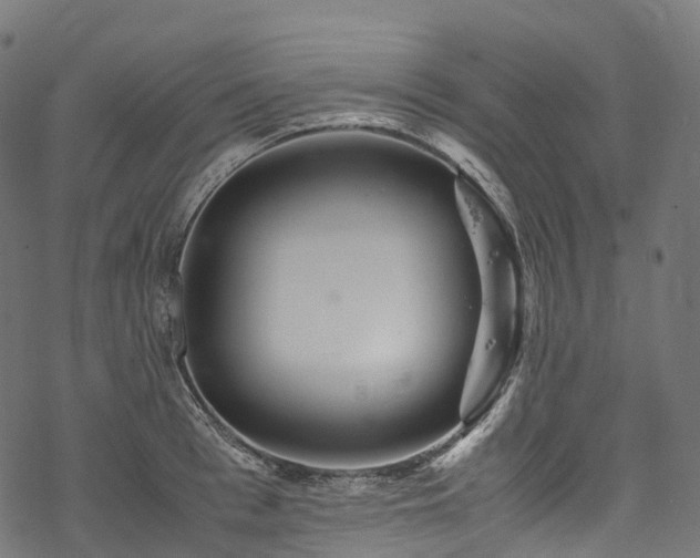 X0000078000993200611031441