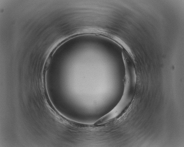 X0000078000996200611031441