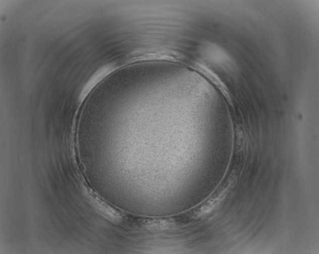 X0000078001002200611031441
