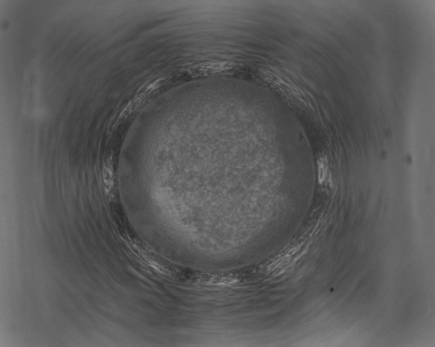 X0000078001011200611031440