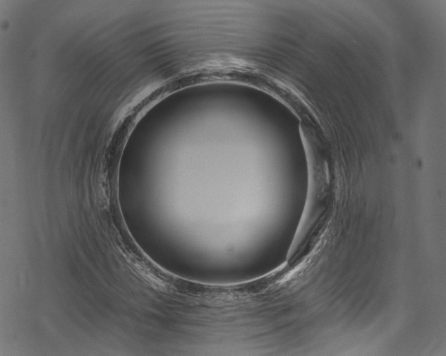 X0000078001018200611031440