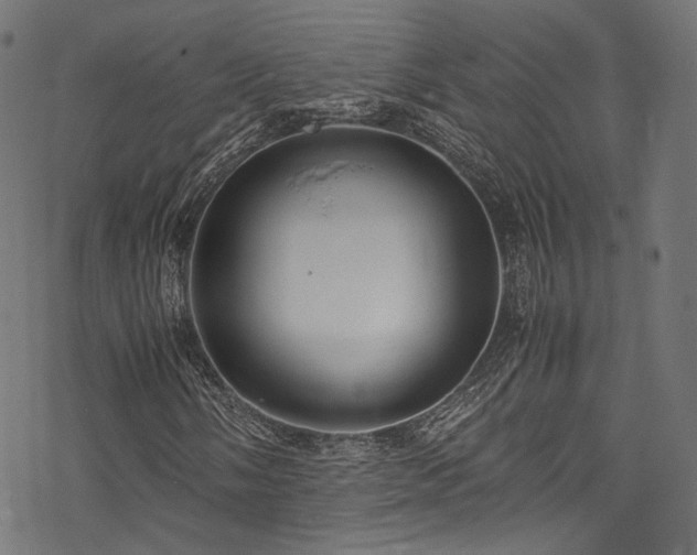 X0000078001058200611031440