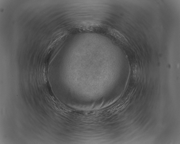 X0000078001060200611031440