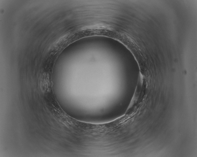 X0000078001062200611031440