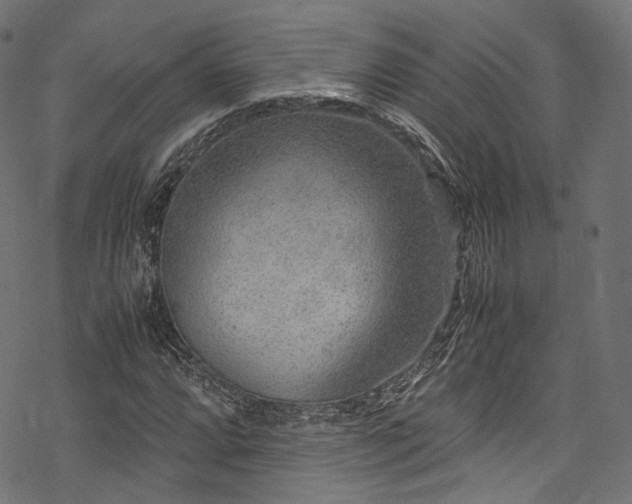 X0000078001064200611031440