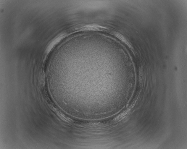 X0000078001067200611031440