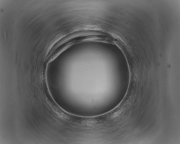 X0000078001073200611031439