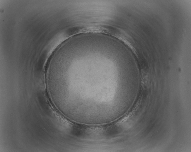 X0000078001075200611031439
