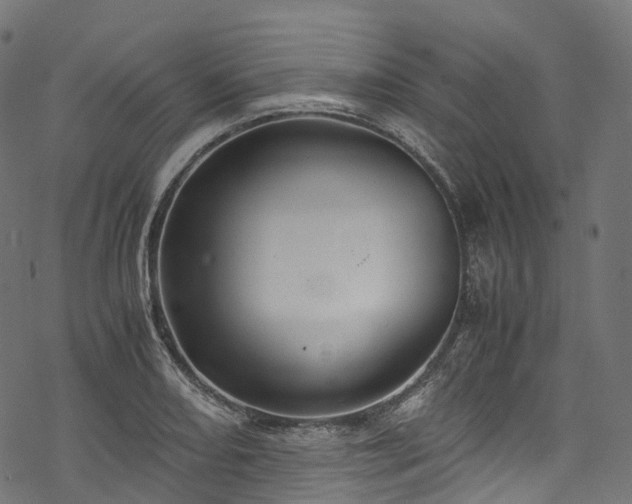 X0000078001082200611031439
