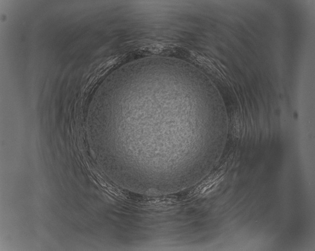 X0000078001105200611031438