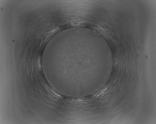 X0000078001106200611031438
