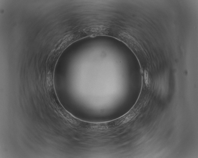 X0000078001107200611031438