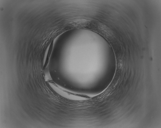 X0000078001108200611031438