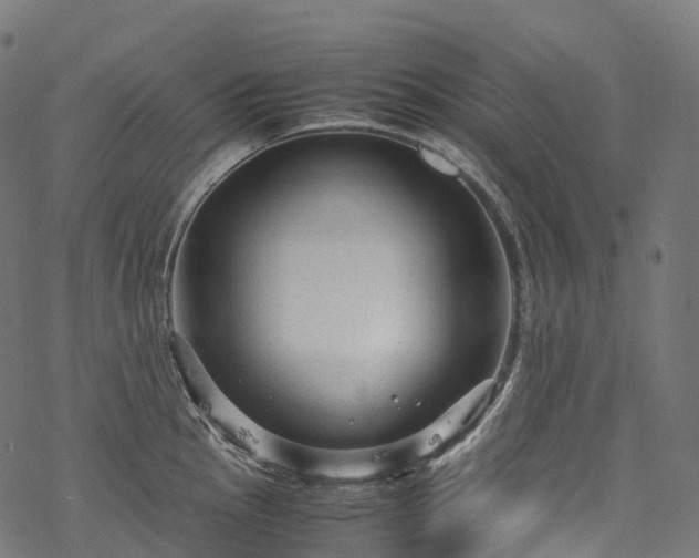 X0000078001145200611031439