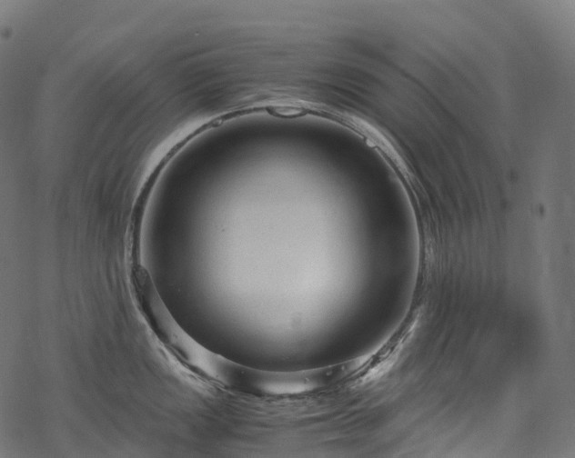 X0000078001149200611031439