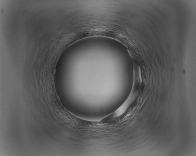 X0000078001153200611031438
