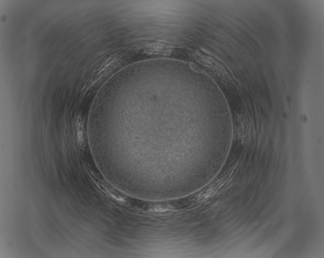 X0000078001154200611031438