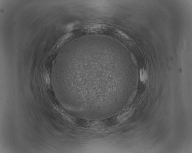 X0000078001155200611031438