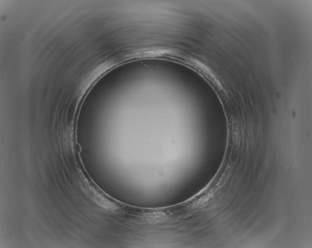 X0000078001186200611031438