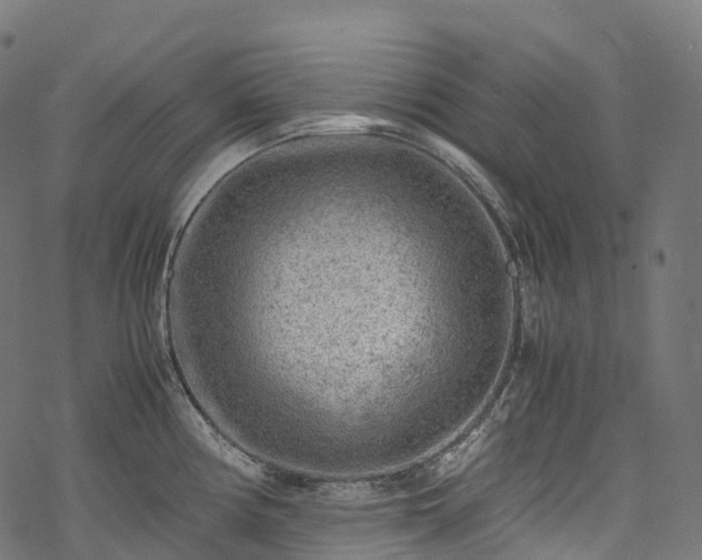 X0000078001194200611031437