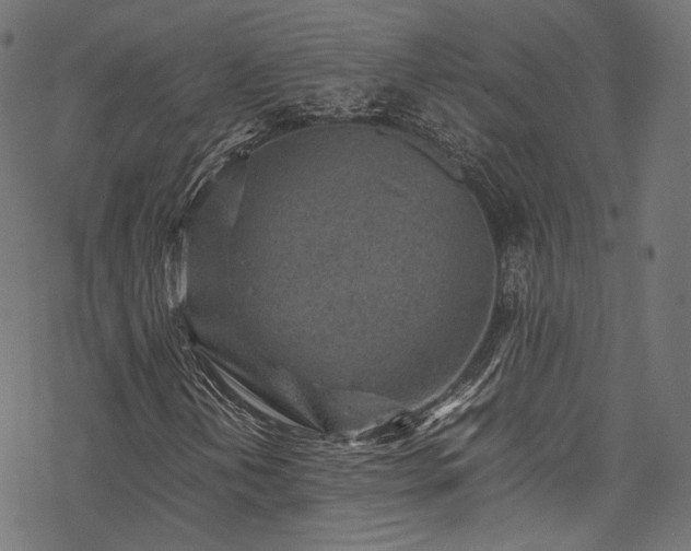 X0000078001202200611031437