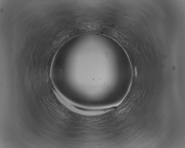 X0000078001203200611031437