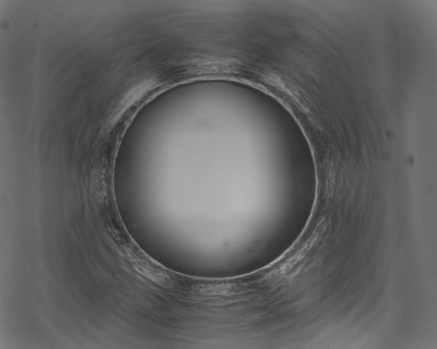 X0000078001211200611031437